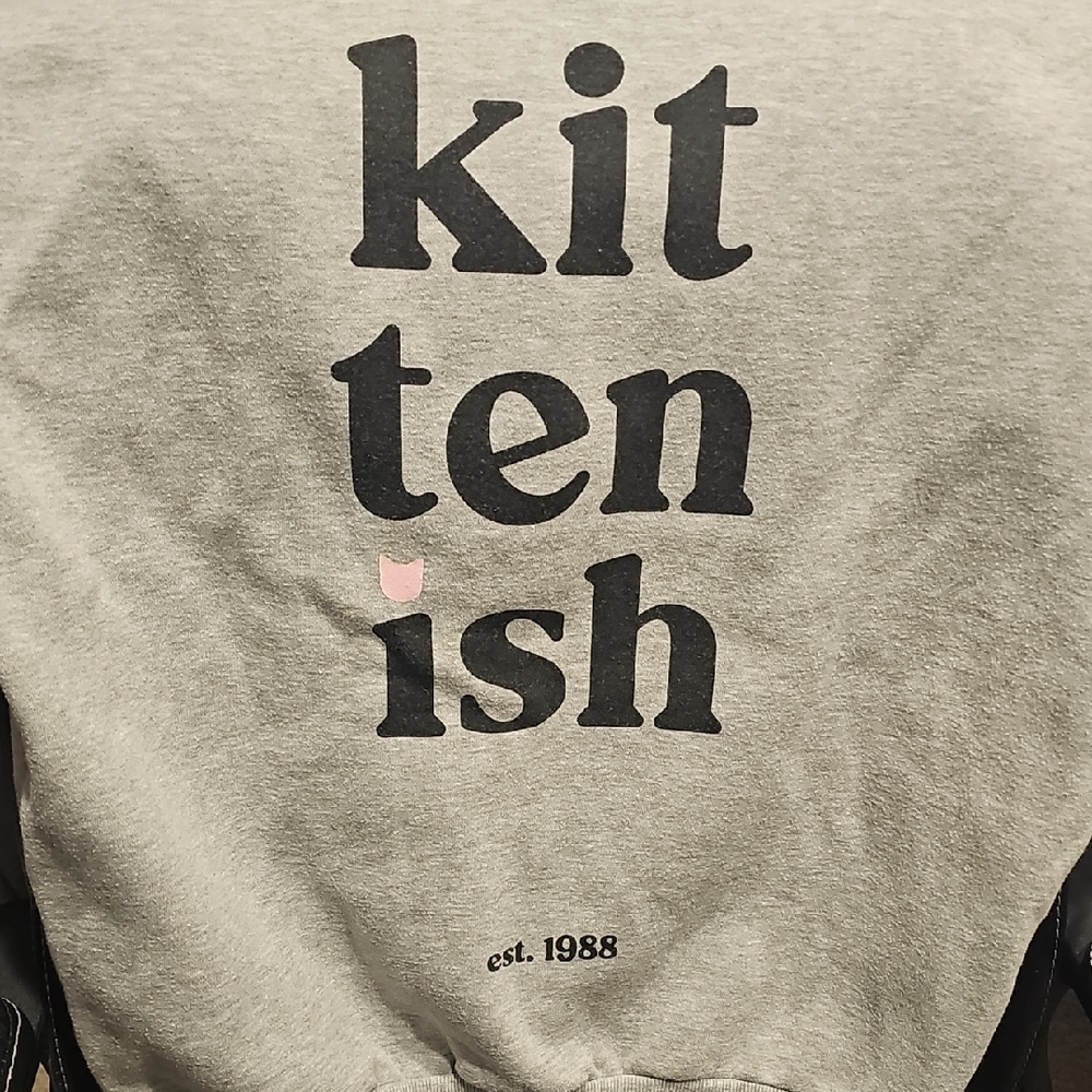 Kittenish Gray Pet Hoodie